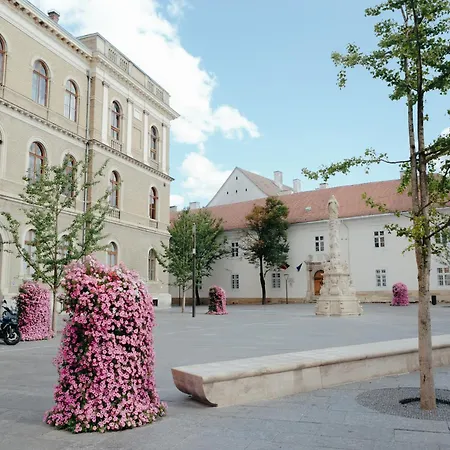 Contessa 克卢日-纳波卡